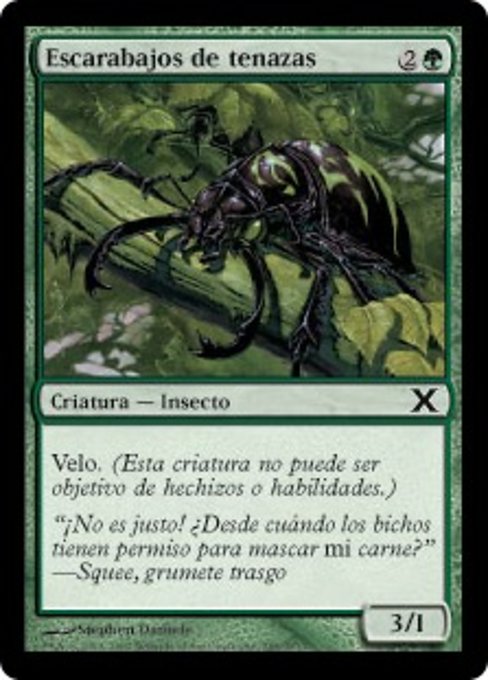 Escarabajos de tenazas