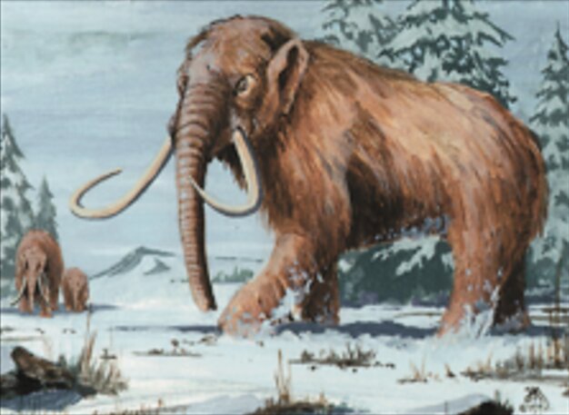 War Mammoth