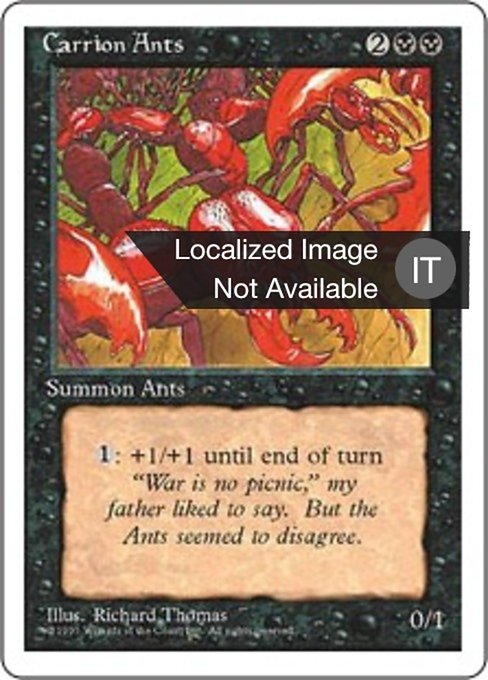 Carrion Ants