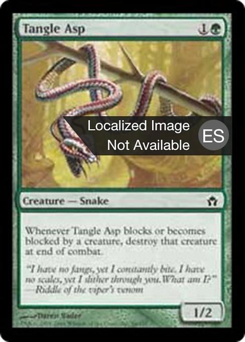 Áspid de la maraña