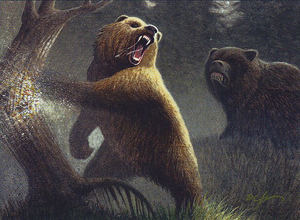 Grizzly Bears