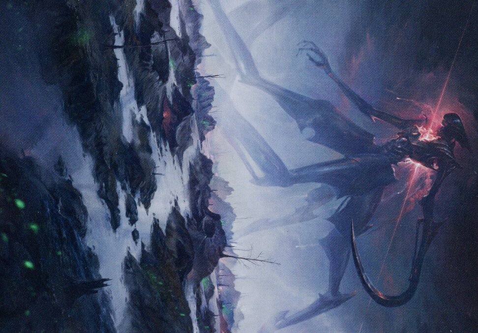 Swamp // Swamp