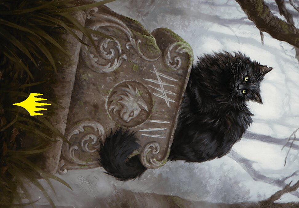 Nine-Lives Familiar // Nine-Lives Familiar