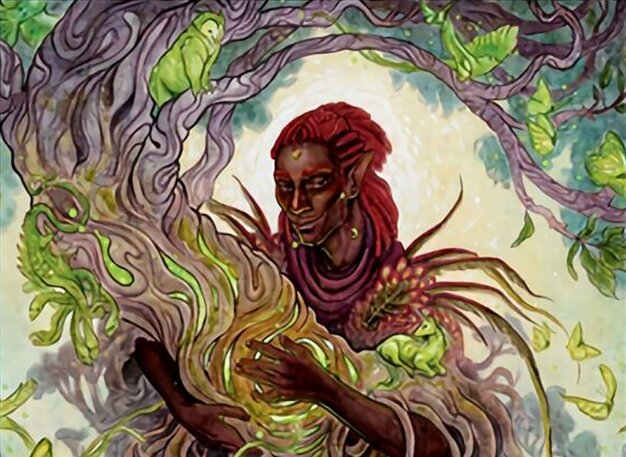 Circle of Dreams Druid