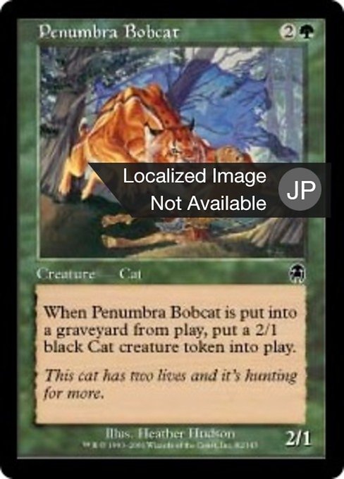 暗影のボブキャット