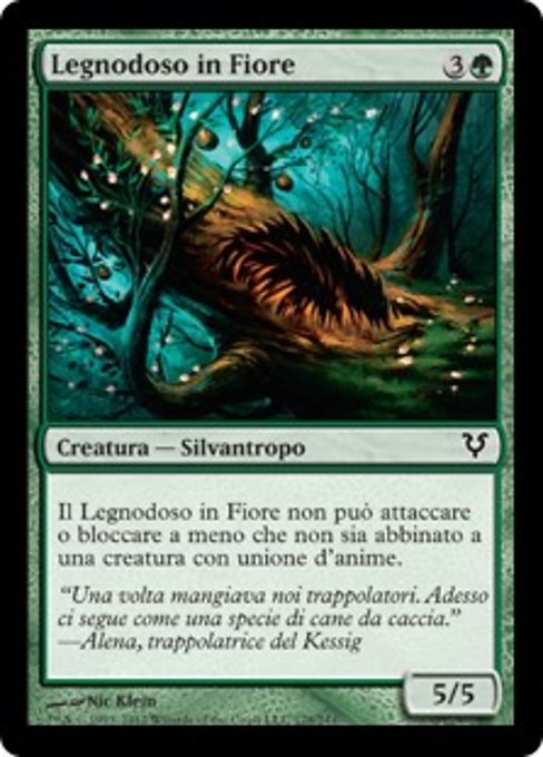 Flowering Lumberknot