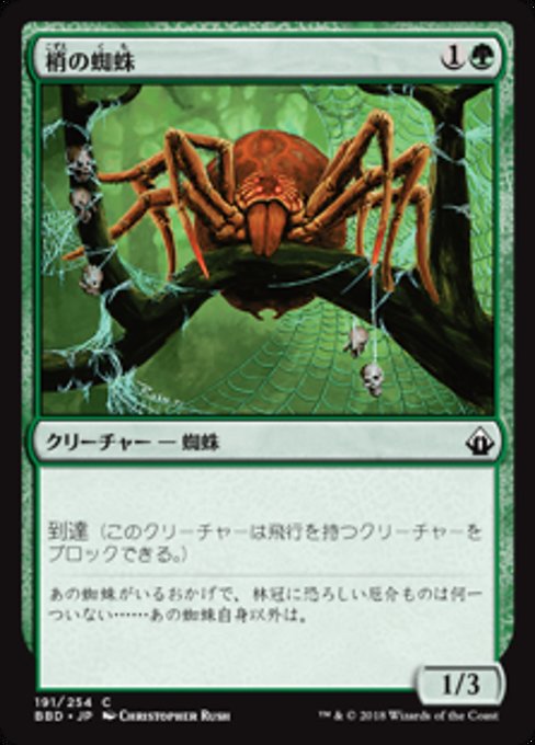 Canopy Spider
