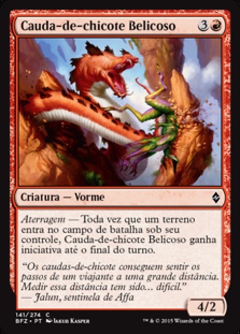 Cauda-de-chicote Belicoso