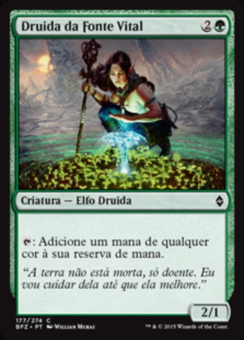 Druida da Fonte Vital