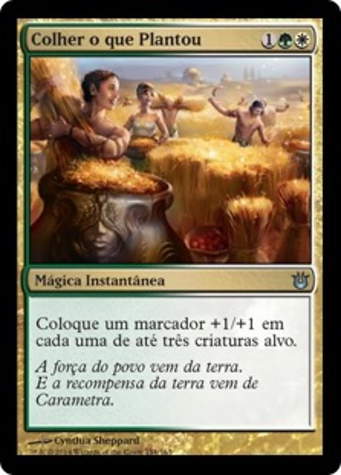 Colher o que Plantou