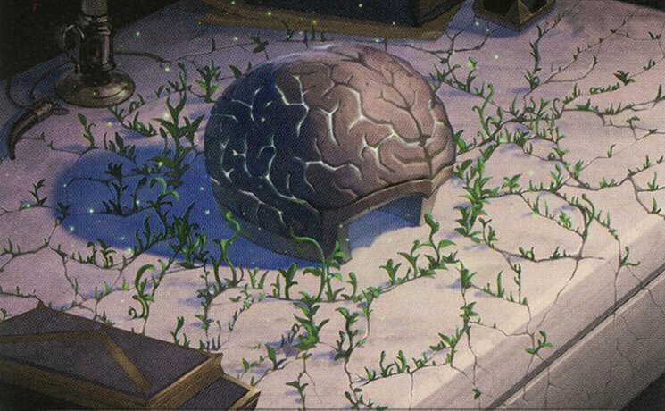 The Stone Brain