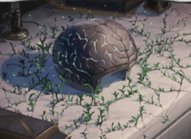石の脳