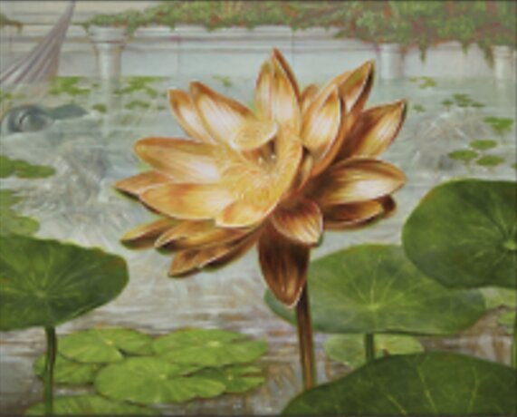 Lotus doré