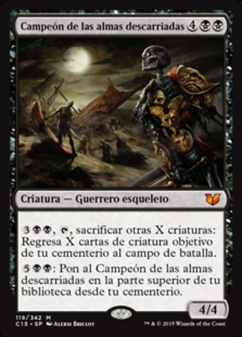 Champion of Stray Souls