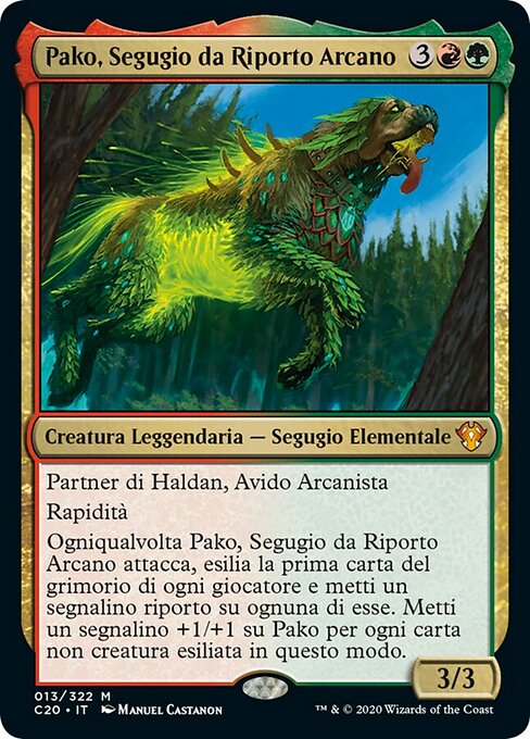 Pako, Segugio da Riporto Arcano
