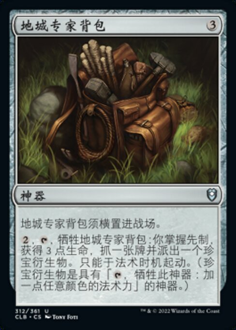 地城专家背包