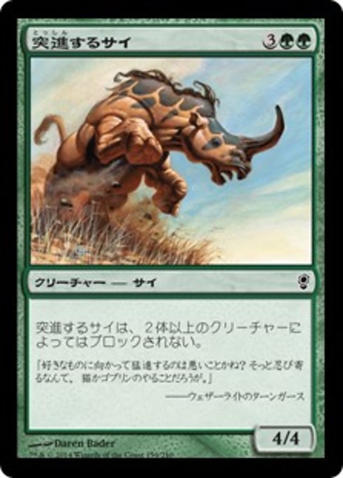 突進するサイ