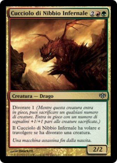 Cucciolo di Nibbio Infernale