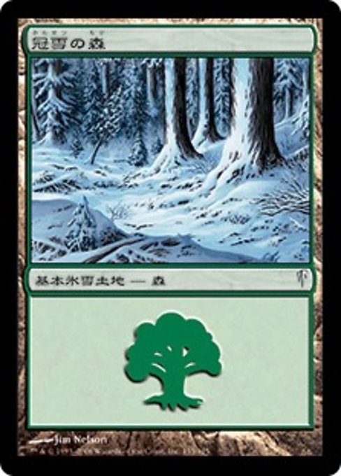 Snow-Covered Forest