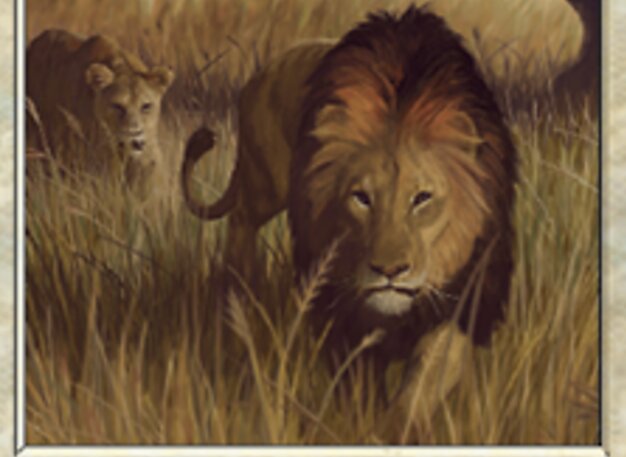 Leones de la sabana