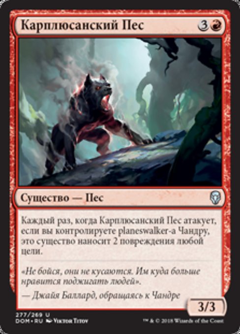 Карплюсанский Пес