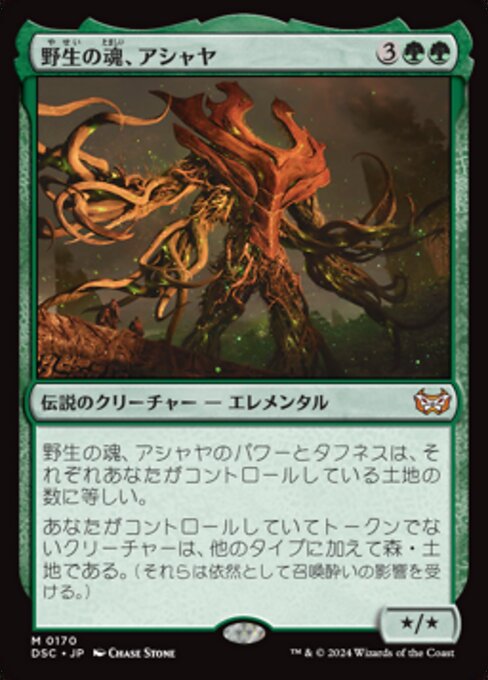 Ashaya, Soul of the Wild