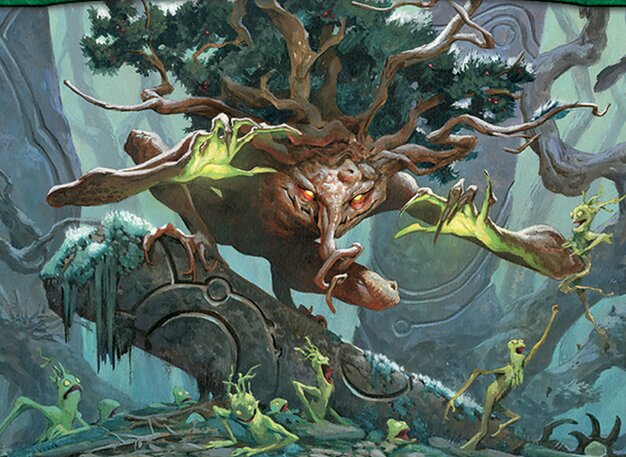 Ferrafor, junge Eibe