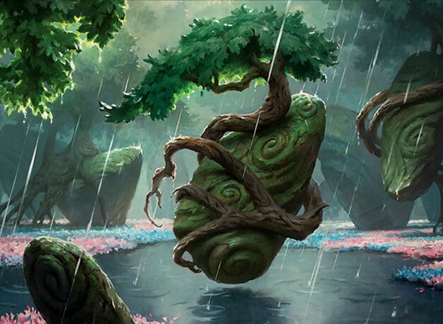 Bosquet pluvieux glissant