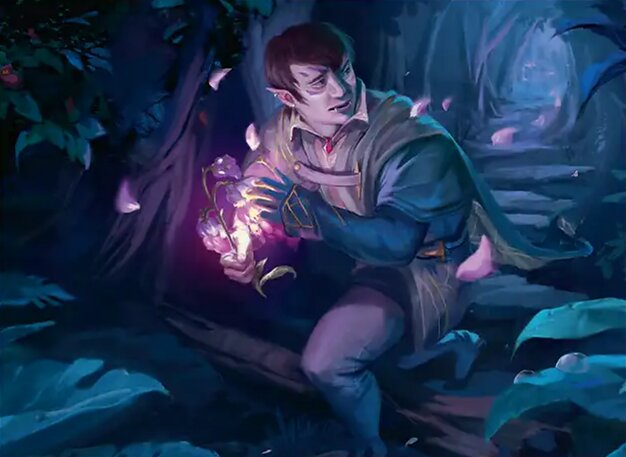 Kirol, Attentive First-Year