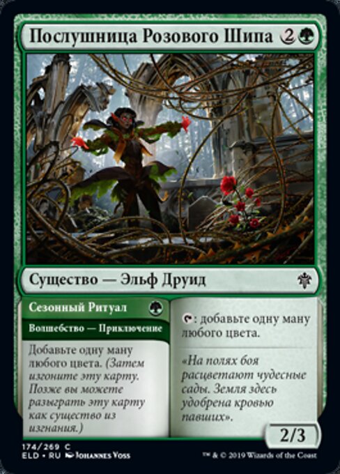 Rosethorn Acolyte // Seasonal Ritual