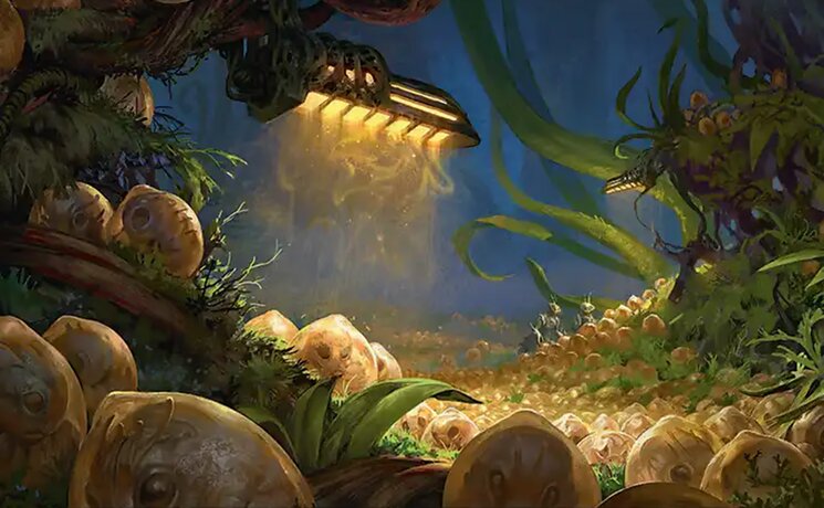 Eumidian Hatchery