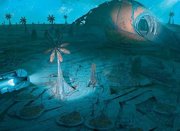Petrified Field