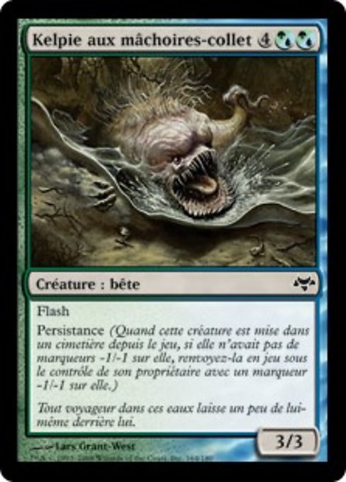 Kelpie aux mâchoires-collet