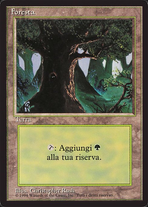 Foresta
