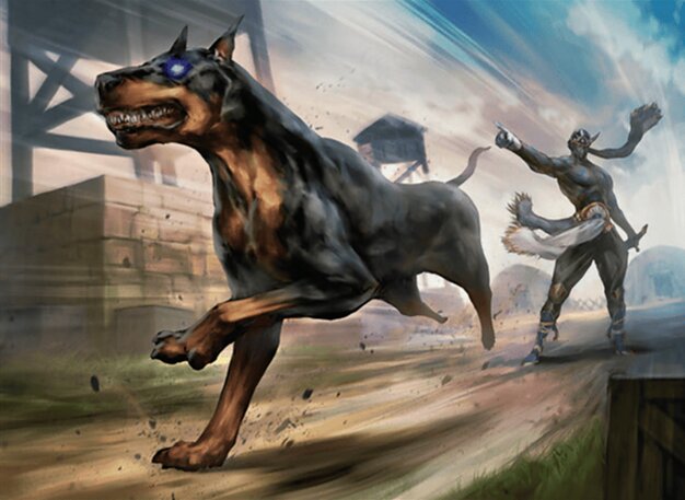 Interceptor, Shadows Hund