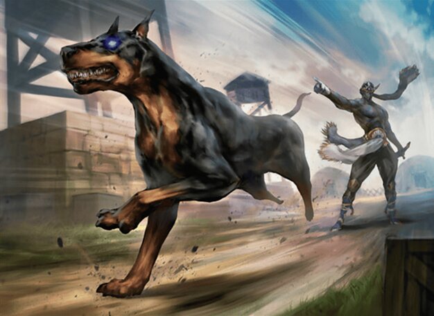 Vengeur, chien de Shadow