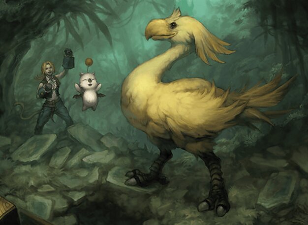 Choco, en quête du paradis