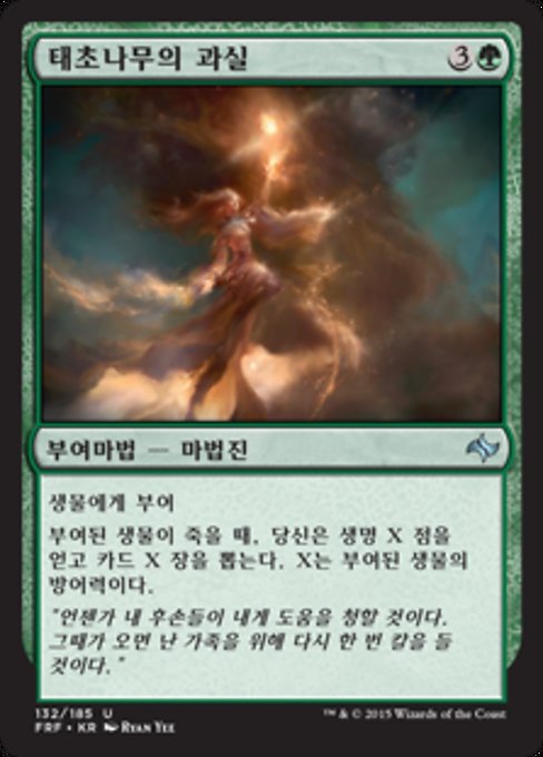 태초나무의 과실