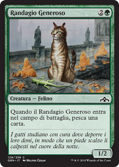 Randagio Generoso