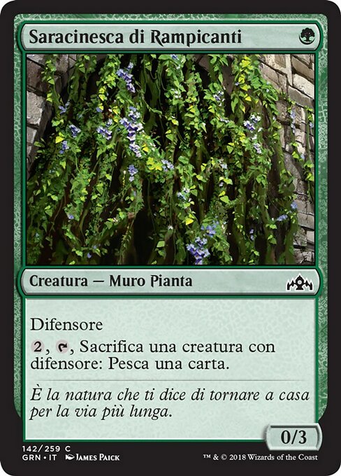 Portcullis Vine