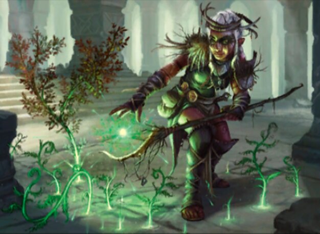 Circle of the Land Druid