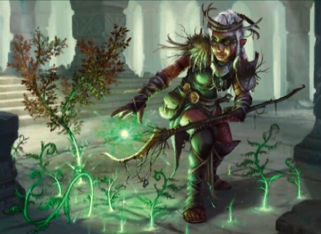 A-Circle of the Land Druid