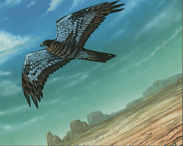Mesa Falcon