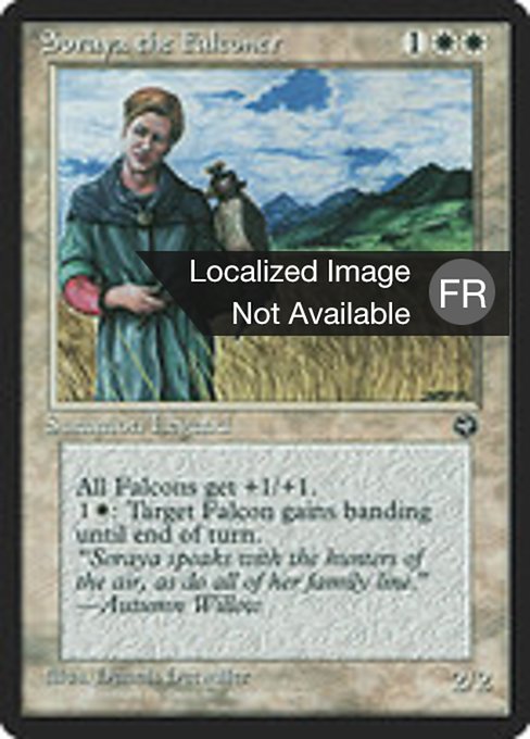 Soraya the Falconer