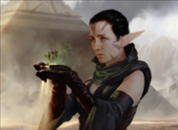 Nissa's Encouragement