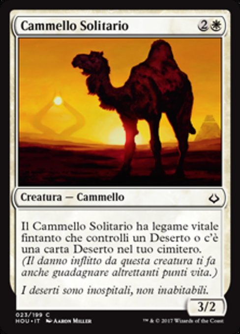 Solitary Camel