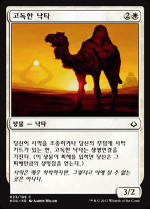 Solitary Camel