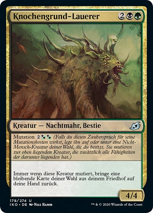 Knochengrund-Lauerer