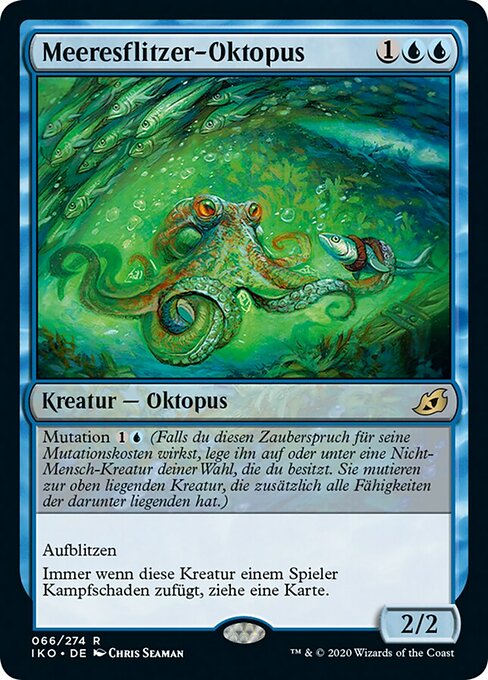 Meeresflitzer-Oktopus