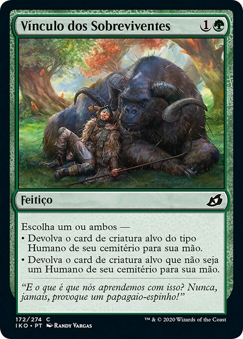 Vínculo dos Sobreviventes